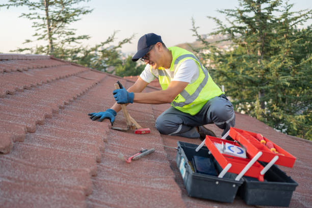 Best Roof Maintenance Services  in Beaver Dam, WI